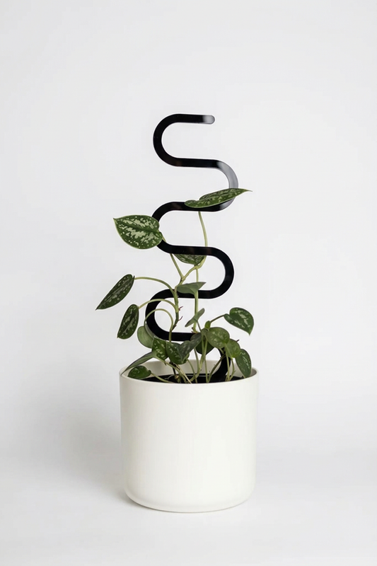 Suport curbat pentru plante cățărătoare