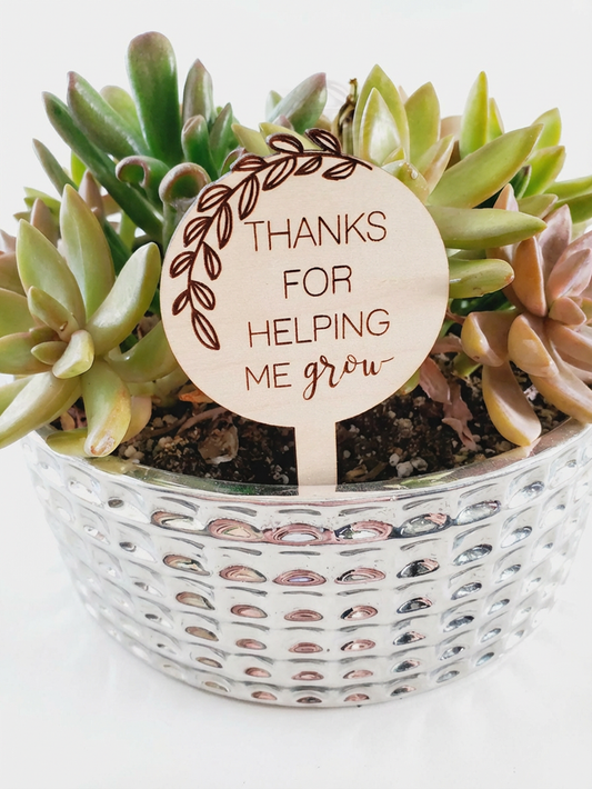 Markere de Grădină Minimaliste- "Thanks for helping me grow"