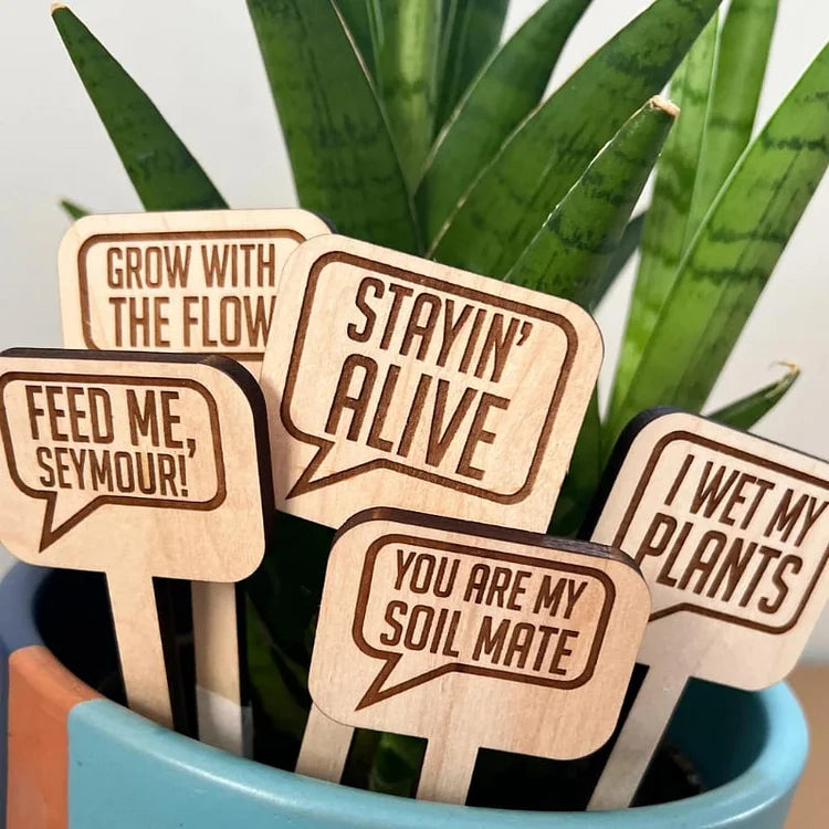 Props flori cu mesaje amuzante – set 5 bucăți